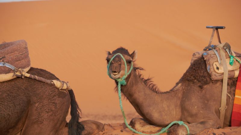 Marrakech to Merzouga in 5 Days