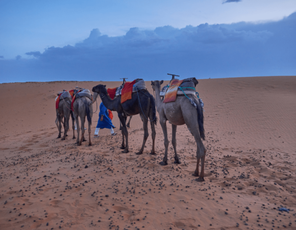 Moroccan tour : 9 Day desert tour from Fes