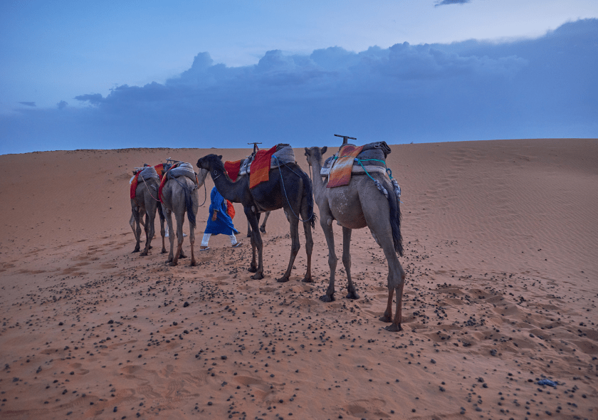 Moroccan tour : 9 Day desert tour from Fes