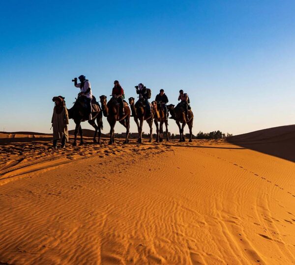 Camel Trekking in Erg Chebbi Desert