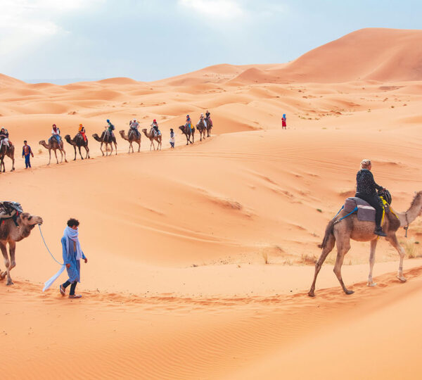 Camel Trekking in Erg Chebbi Dunes